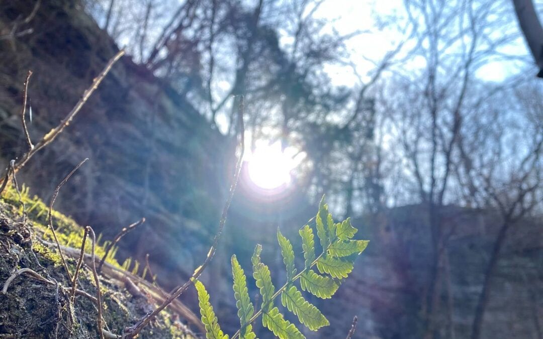 LaSalle Canyon