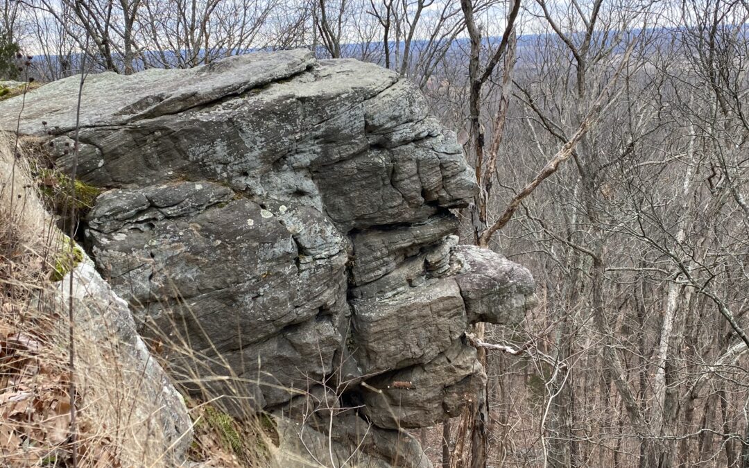 Old Stone Face