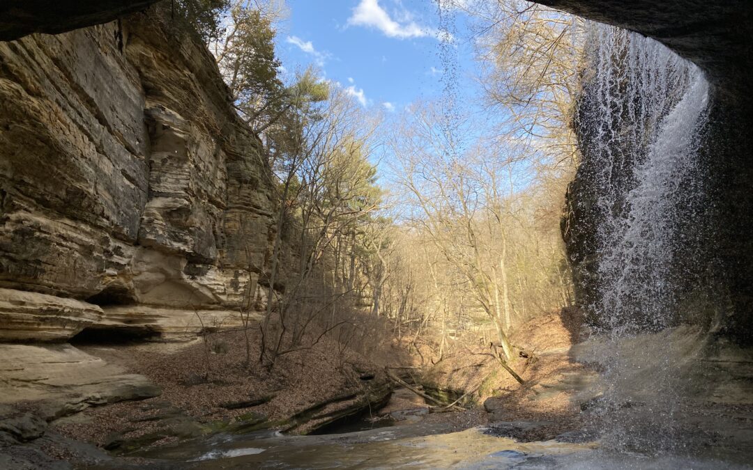 Ducks, Pelicans & Waterfalls